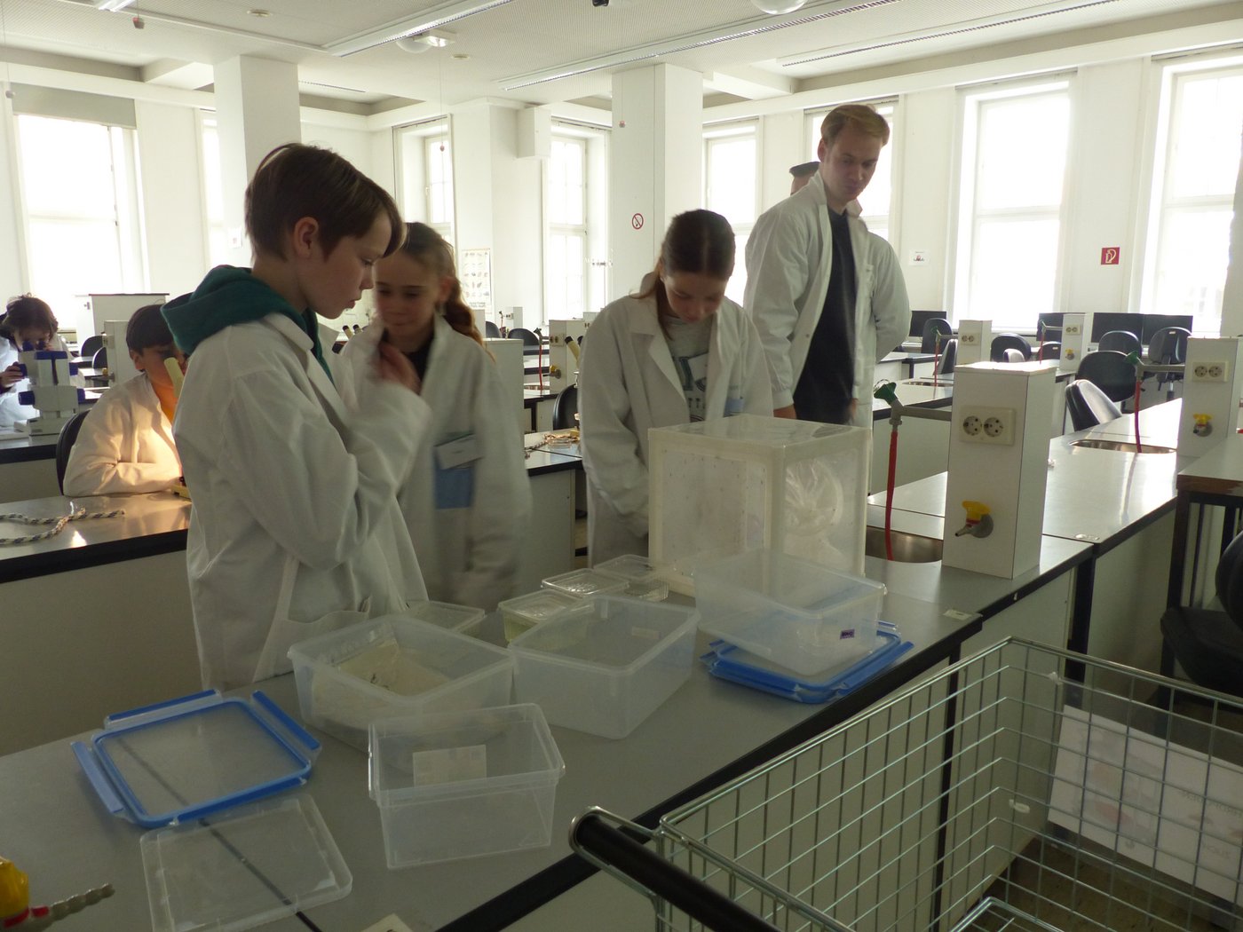 Das Foto zeigt mehrere Kinder in weißen Laborkitteln im Kursussaal mit Mikroskopen und Mückenkäfigen arbeiten.